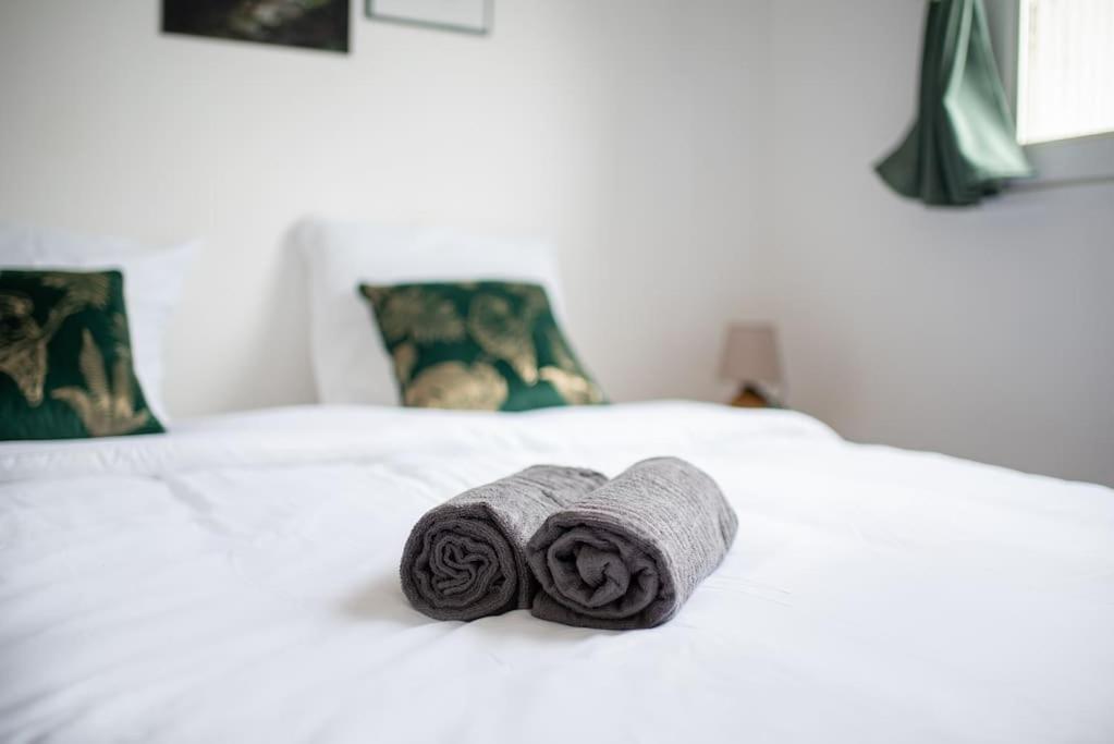 Apartment Le Charme Champetre Toulouse